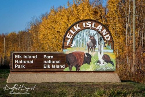 بازگشایی کمپینگ های پارک ملی « الک » در ادمونتون