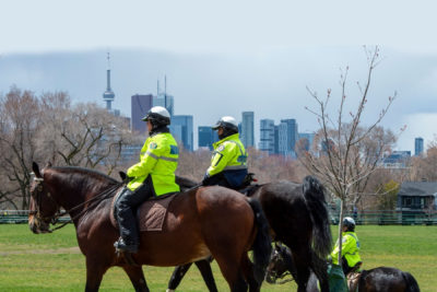 پلیس تورنتو در طول آخر هفته صدها نفر را در ارتباط با قوانین شرایط اضطراری بازداشت کرد