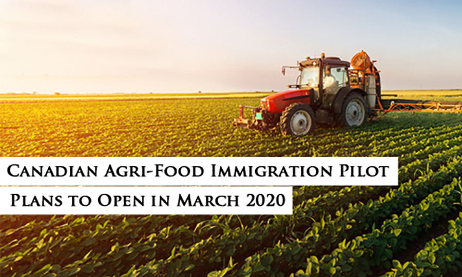اپلیکیشن های طرح پایلوت (Pilot) کشاورزی - مواد غذایی برای مهاجرت به کانادا در مارچ 2020 در دسترس می باشند