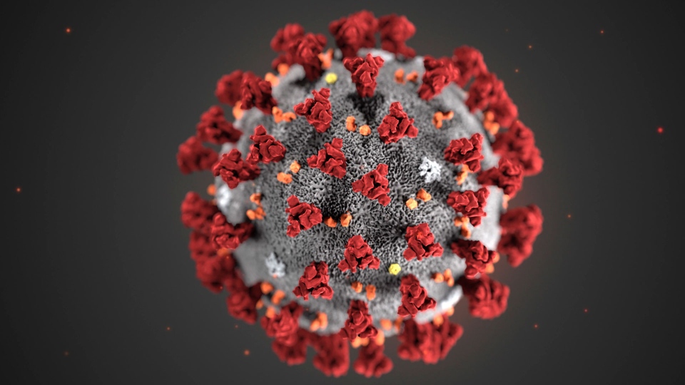 This illustration provided by the Centers for Disease Control and Prevention (CDC) in January 2020 shows the 2019 Novel Coronavirus (2019-nCoV). (CDC via AP, File)