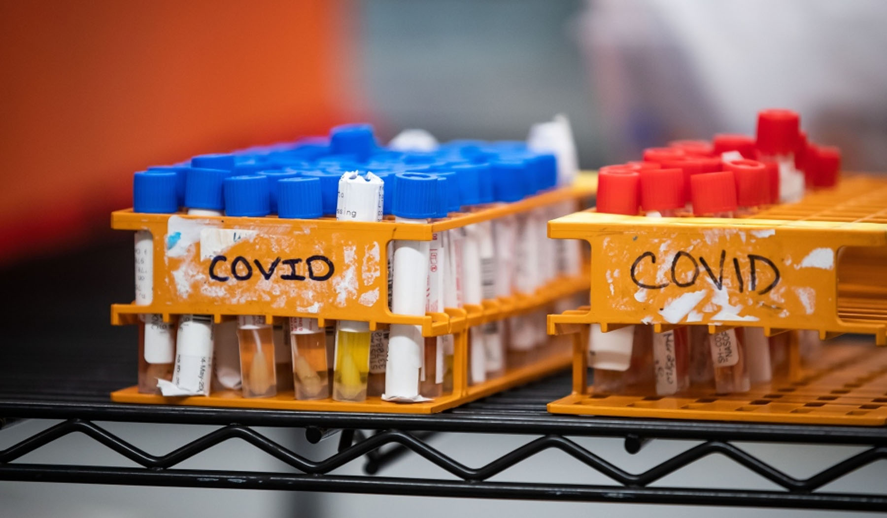 بریتیش کلمبیا : ۱۹ نفر مبتلای جدید همراه با ۲ شیوع دیگر ویروس کرونا