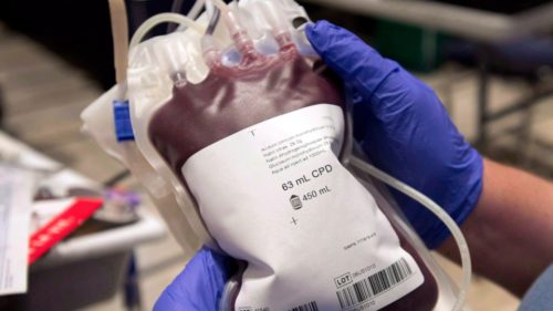 جاستین ترودو خبر داد: تغییر سیاست های ممنوعیت اهدای خون LGBTQها در آینده نزدیک