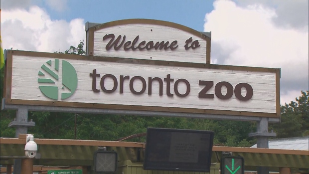 باغ وحش تورنتو باردیگر باز می شود اما فقط برای اعضا