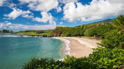 گردشگری : کانادایی ها بزودی می‌توانند بدون نیاز به قرنطینه به هاوایی سفر کنند