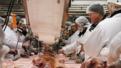 کارگر کارخانه بسته ­بندی گوشت در کبک یک روز قبل از مرگش جواب آزمایش کووید-19 مثبت بود