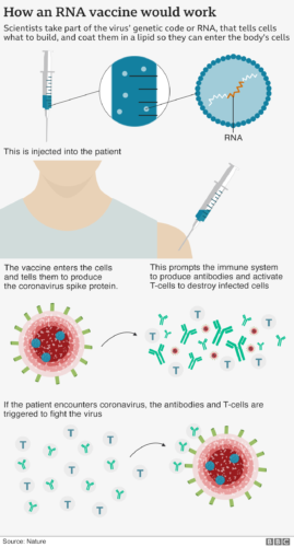 واکسن کووید19 : اقدام فایزر برای گرفتن اولین مجوز استفاده از واکسن کرونا ساخت این شرکت
