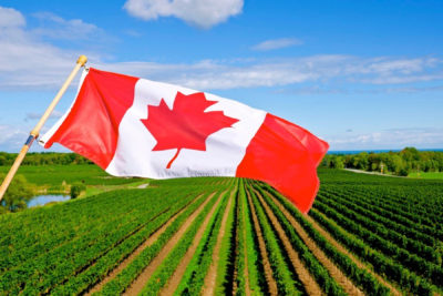 کشاورزی در کانادا