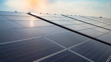 تصویر از بزرگ‌ترین پروژه پنل خورشیدی کانادا بیش از ۱،۰۰۰ شغل در سرزمین نفت ایجاد می کند