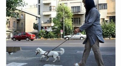 طبق قانون جدید در ایران نگهداری سگ و گربه جرم است