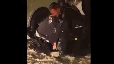 پلیس کبک در حال کوبیدن و فرو کردن برف در صورت یک نوجوان سیاه پوست موجب برانگیختن خشم مردم شد