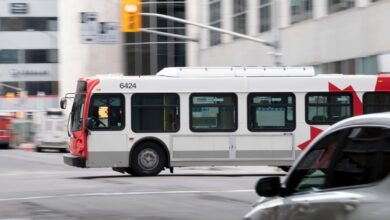طرح توزیع بلیط رایگان حمل و نقل عمومی برای مراجعین شلترها در آستانه تصویب قرار دارد
