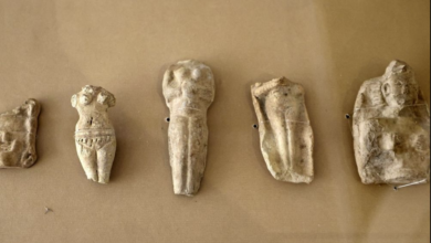 تصویر از باستان شناسان ایرانی با لایحه مجلس که اجازه تجارت آثار باستانی را می دهد، مخالفت کردند