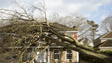 خسارت ناشی از طوفان روز شنبه در جنوب انتاریو و کبک در اغلب موارد تحت پوشش بیمه قرار دارد