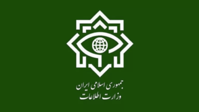 وزارت اطلاعات ایران اعلام کرد یک تبعه سوئدی را هنگام خروج از ایران بازداشت کرده است