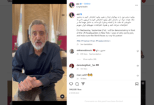 تصویر از خواننده سرشناس ایرانی برای اعتراض به نیویورک می‌رود