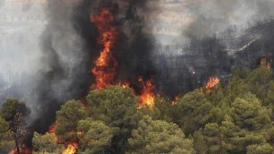 آتش‌سوزی در علفزارهای اطراف زندان اوین و جنگل‌های مریوان