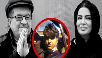اعترافات متهم قتل داریوش مهرجویی و فریده محمدی‌فر، سناریوی حکومت برای توجیه قتل او