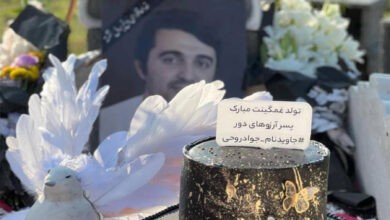 وکیل جواد روحی گفت که علیه مقامات زندان نوشهر به اتهام قتل نفس شکایت کردیم