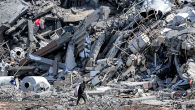 کارشناس سازمان ملل می گوید اسرائیل در غزه نسل کشی می کند